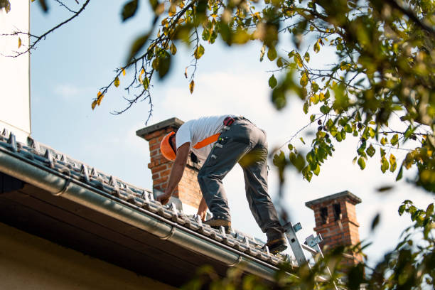 Professional Roofing Contractor in Ives Estates, FL
