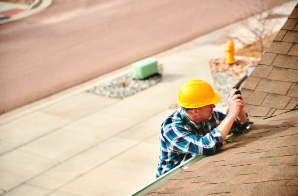 Best Roof Gutter Cleaning  in Ives Estates, FL