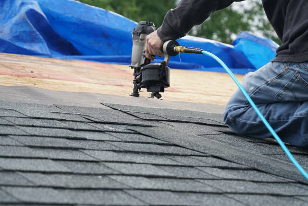 Best New Roof Installation  in Ives Estates, FL