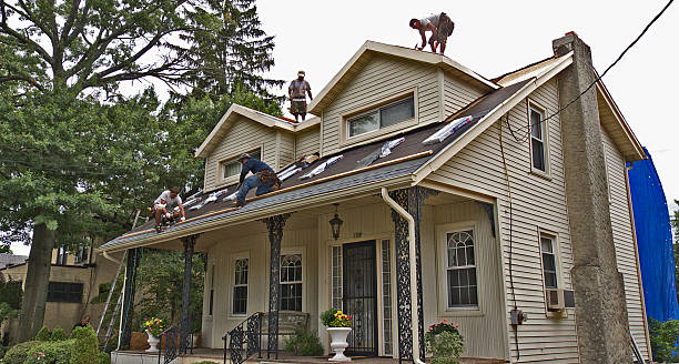 Quick and Trustworthy Emergency Roof Repair Services in Ives Estates, FL