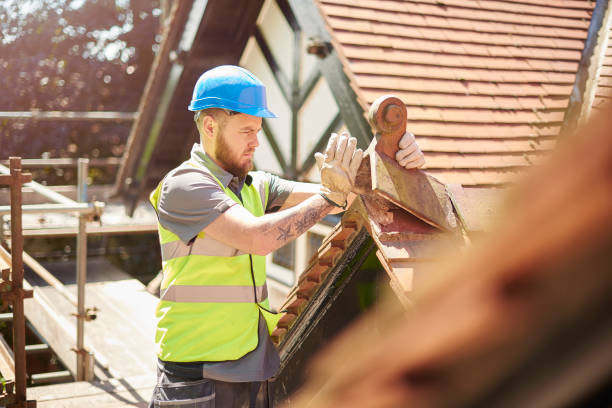 Roof Gutter Cleaning in Ives Estates, FL